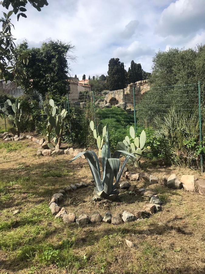A Casa Di Peppino Villa Greco Tindari Exteriér fotografie