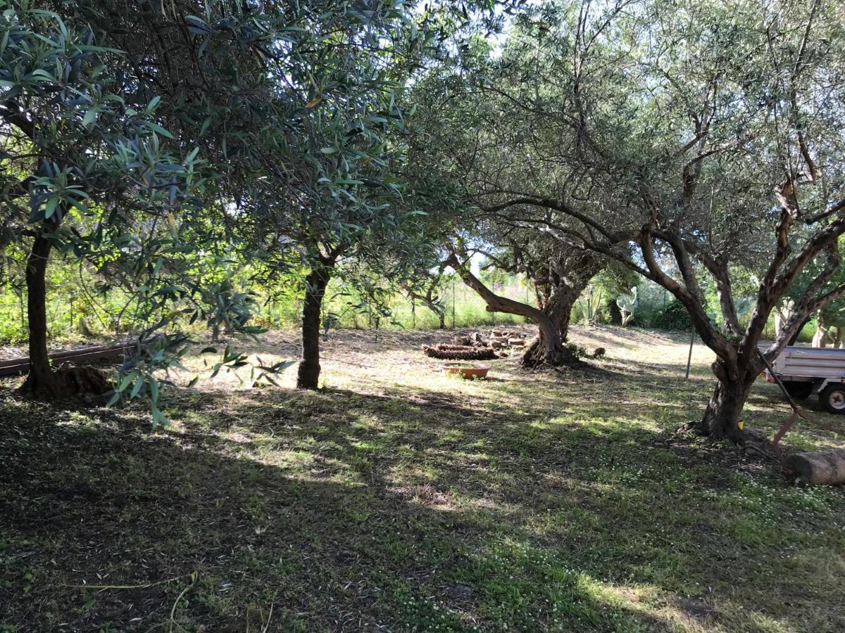 A Casa Di Peppino Villa Greco Tindari Exteriér fotografie