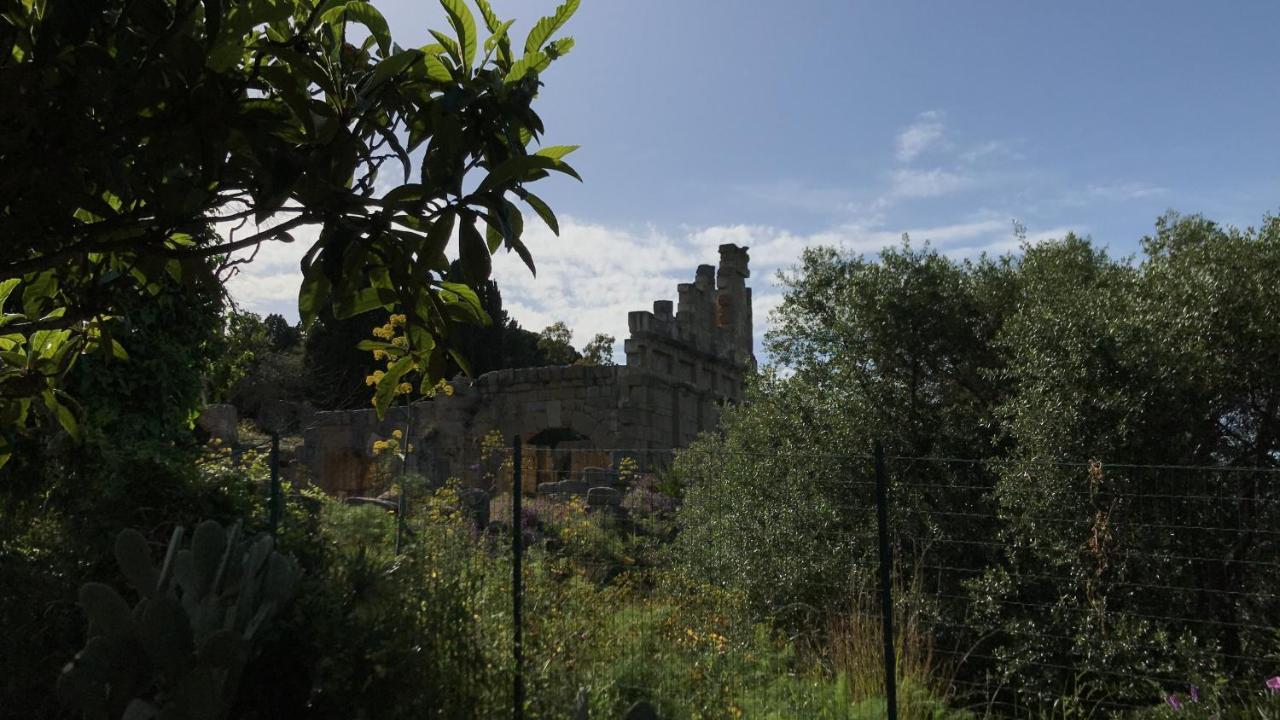 A Casa Di Peppino Villa Greco Tindari Exteriér fotografie