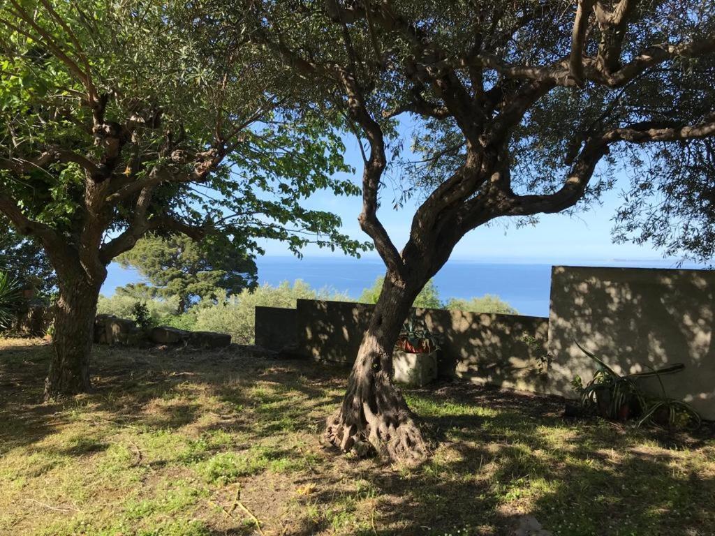 A Casa Di Peppino Villa Greco Tindari Exteriér fotografie
