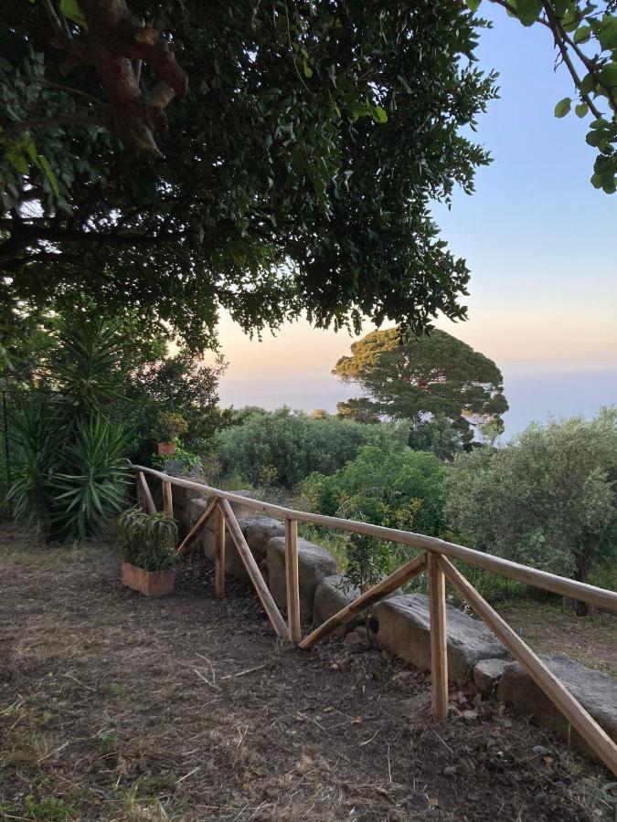 A Casa Di Peppino Villa Greco Tindari Exteriér fotografie